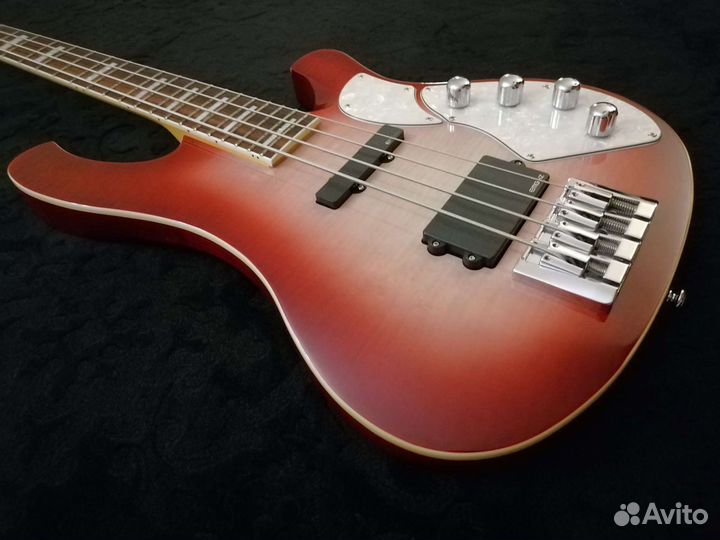 Schecter Stargazer