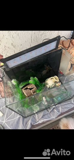 Аквариум