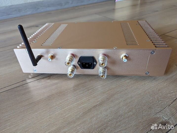 Gold Castom Amplifier