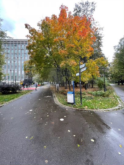 Комната 19,8 м² в 3-к., 3/5 эт.