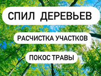 Как спилить ель на дачном участке близко с домом и проводами