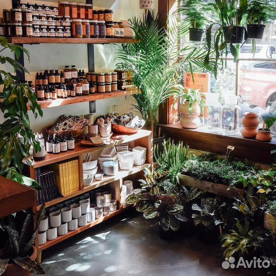 Витрина место под реализацию