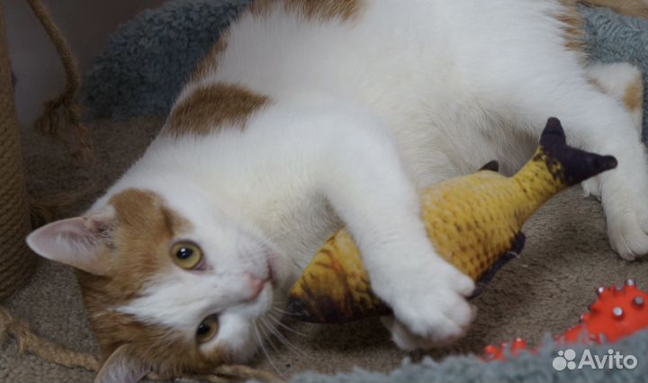 В ожидании семьи