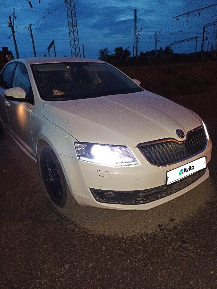 Skoda Octavia: фото владельца