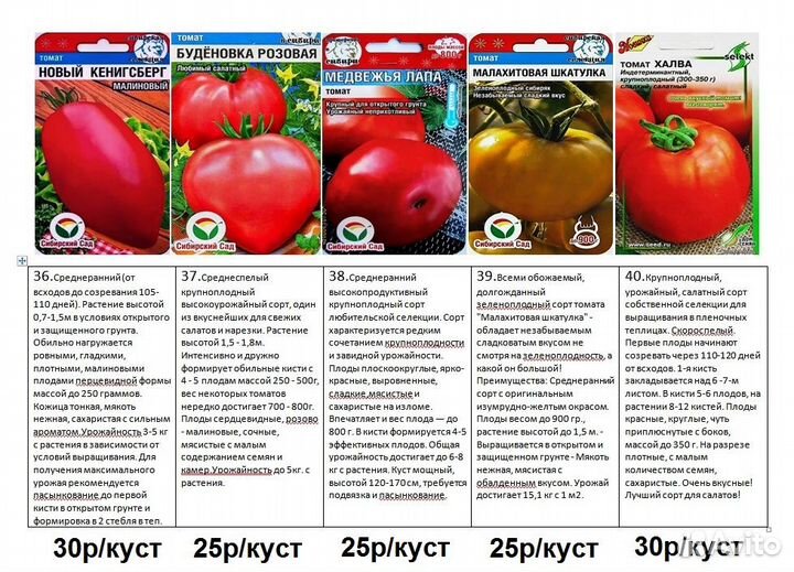 Рассада помидор томатов среднерослых,полудетерм