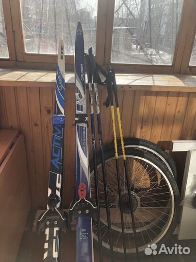 Беговые лыжи