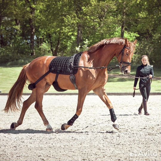 Конные вещи