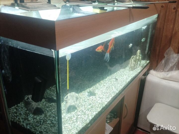 Аквариум с тумбой juwel