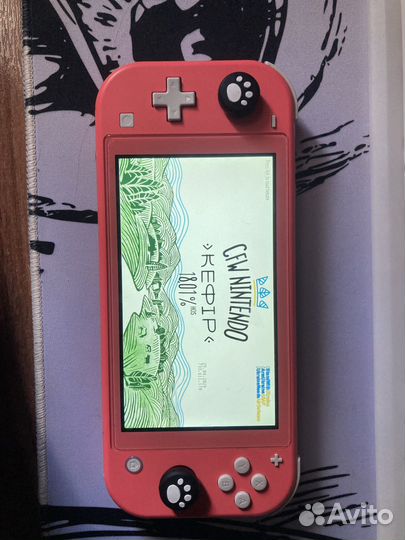 Switch lite mod