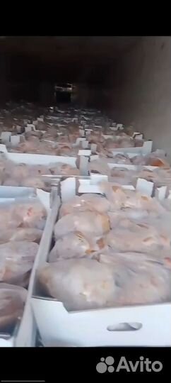 Курица тушка оптом
