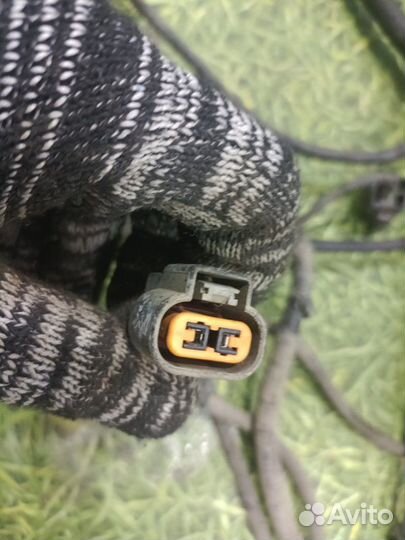 Проводка двс Kia Optima седан 2.0 G4KD 2012