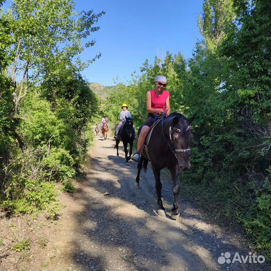 Прогулки на лошадях