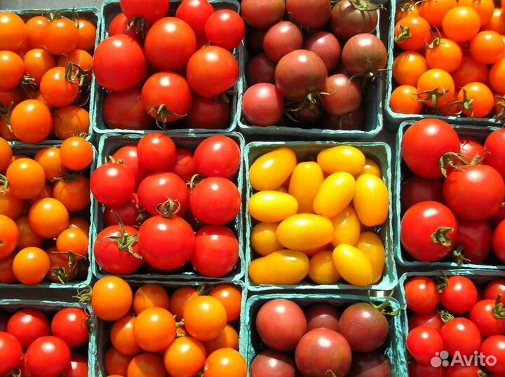 Вахта упаковщик овощей работа с питанием без опыта