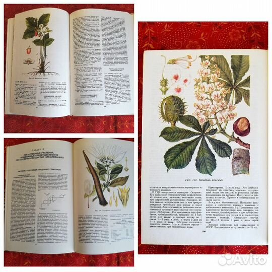 Лекарственные растения СССР лекарственные средства