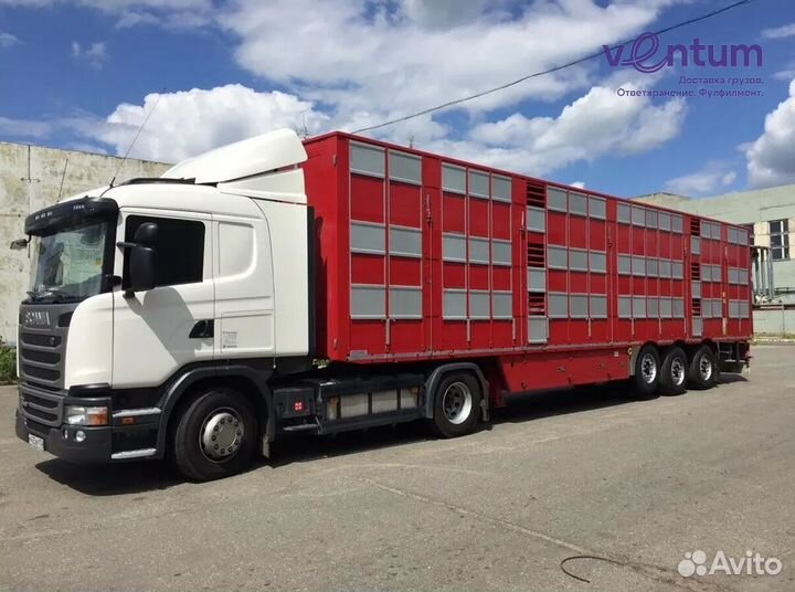 Перевозка скота межгород