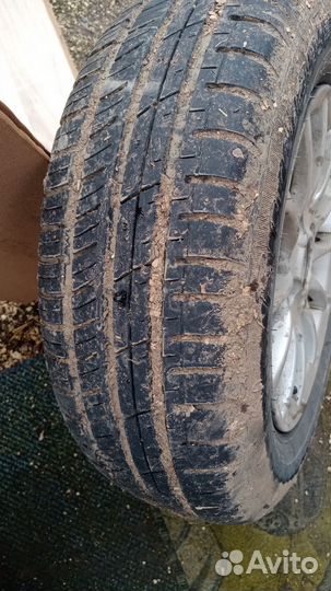Accelera 651 13 R13