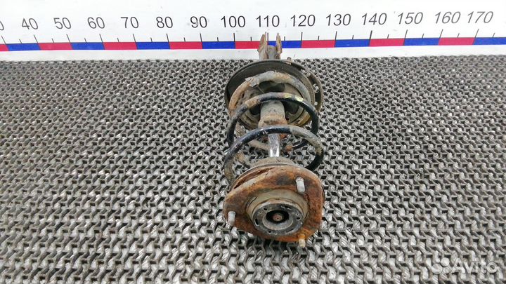 Стойка передняя Toyota RAV4 (06-12 года) ACA30, AC