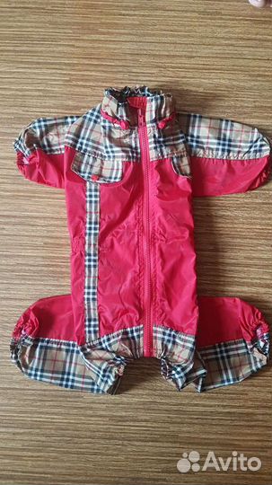 Одежда для собак