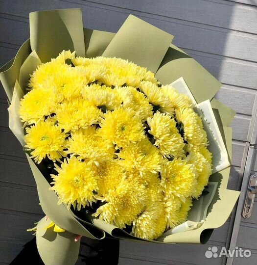 Хризантема одноголовая букет