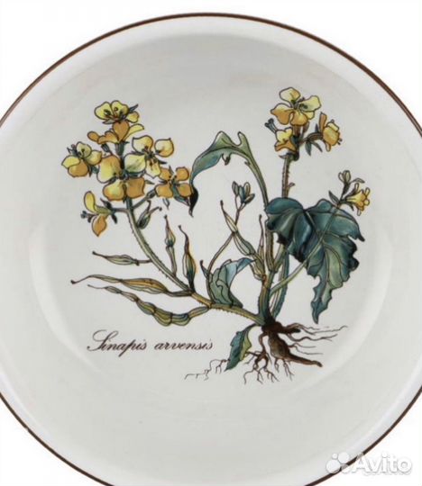 Villeroy boch botanica: кувшин, салатник и др