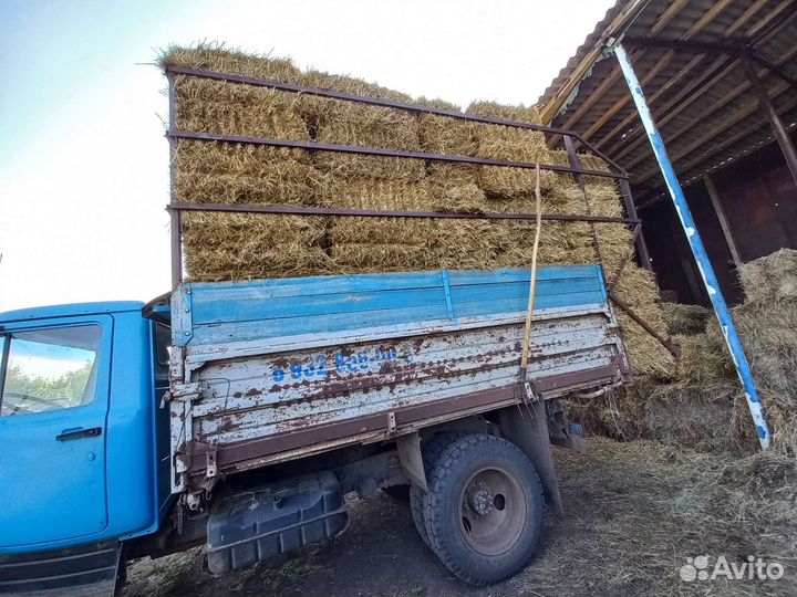 Солома пшеничная в тюках