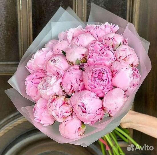 Пионы Букет пионов
