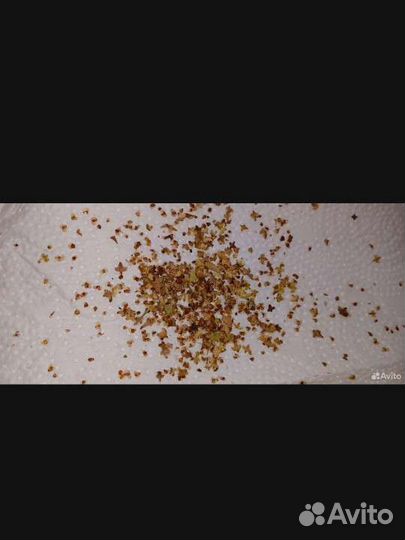 Декоративные орешки