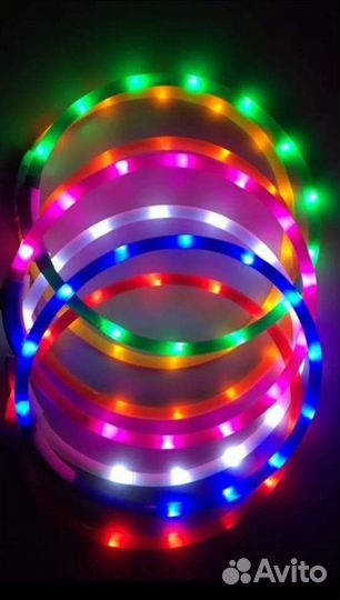 Аксессуары для собак