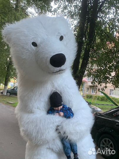 Белый мишка поздравление