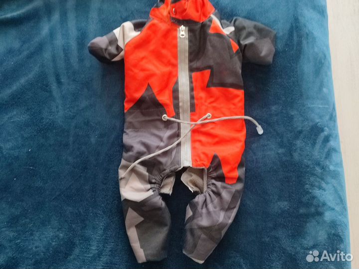 Вещи для собачки