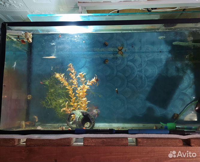 Аквариум