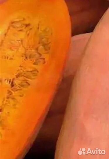 Тыква Папайя семена