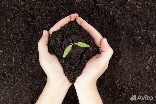 Грунт плодородный черный и коричневый полевой