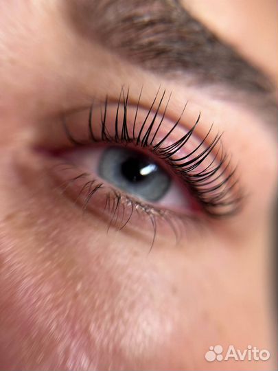 Ламимейкер/бровист