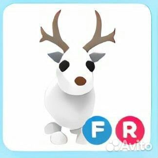 Фр арктик олень