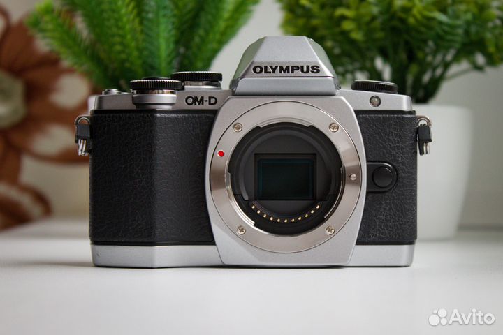 Olympus OM-D E-M10 Kit