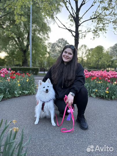 Передержка выгул присмотр няня собак кошек