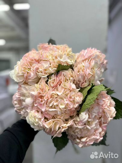 Роскошная Гортензия розовая. Букет из гортензии