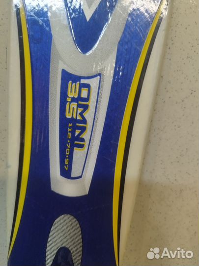 Горные лыжи 165