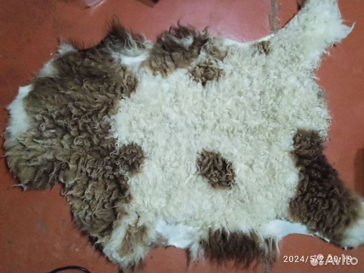 Шкура козла