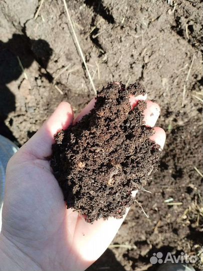 Чернозем перегной