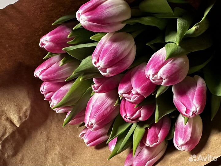 Тюльпаны розовые