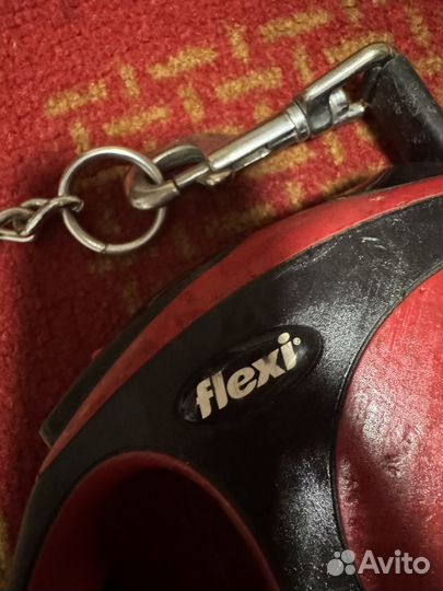 Набор для собаки ошейник, поводок, чесалка