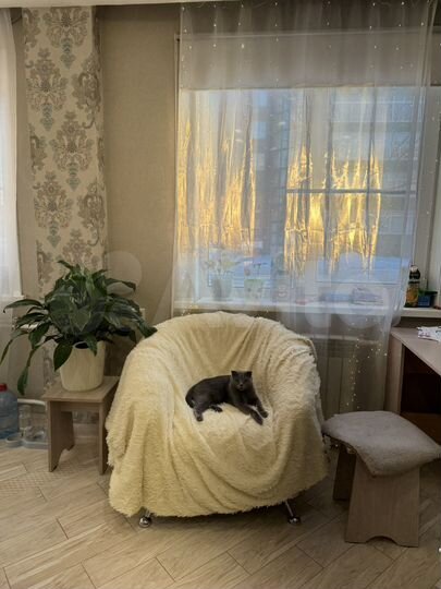 3-к. квартира, 61,9 м², 1/5 эт.