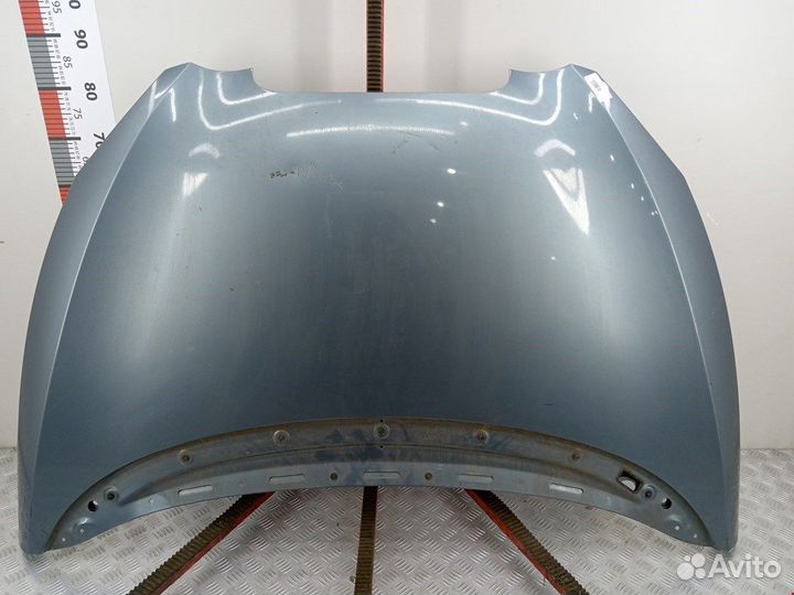 Капот для Seat Toledo 3 5P0823031C