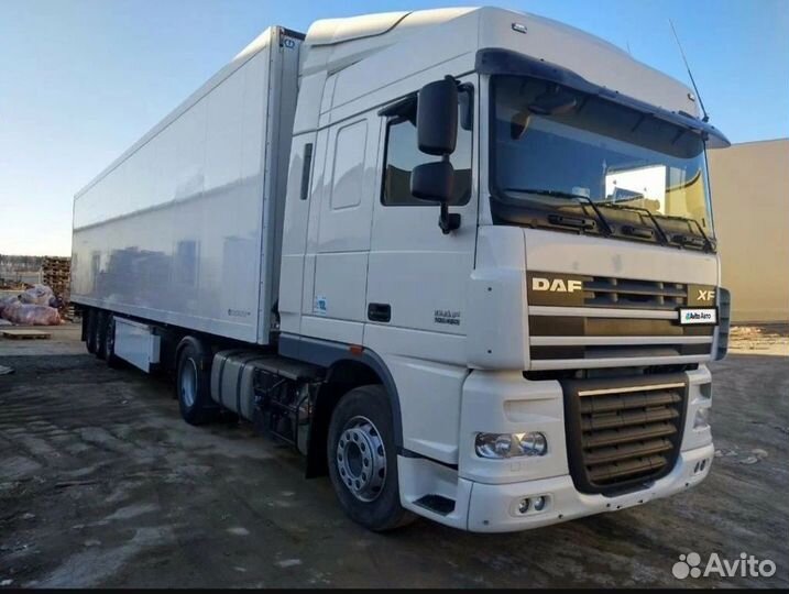 DAF FT XF 105.460, 2010
