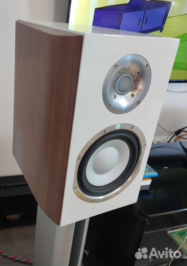 Magnat quantum 1003