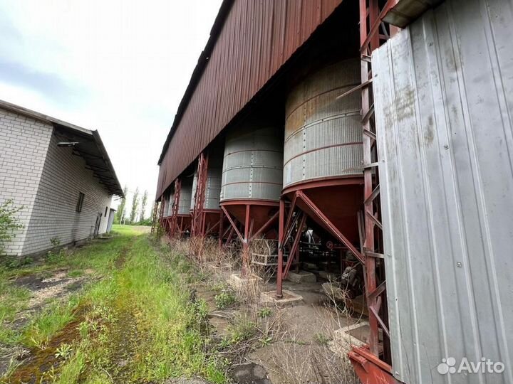 Маслозавод 55 т/сутки