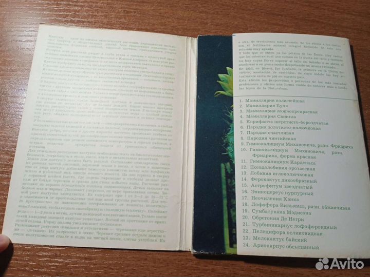 Карточки-открытки 