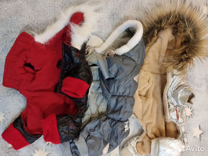 Одежда для мелких собачек б/у и обувь новая